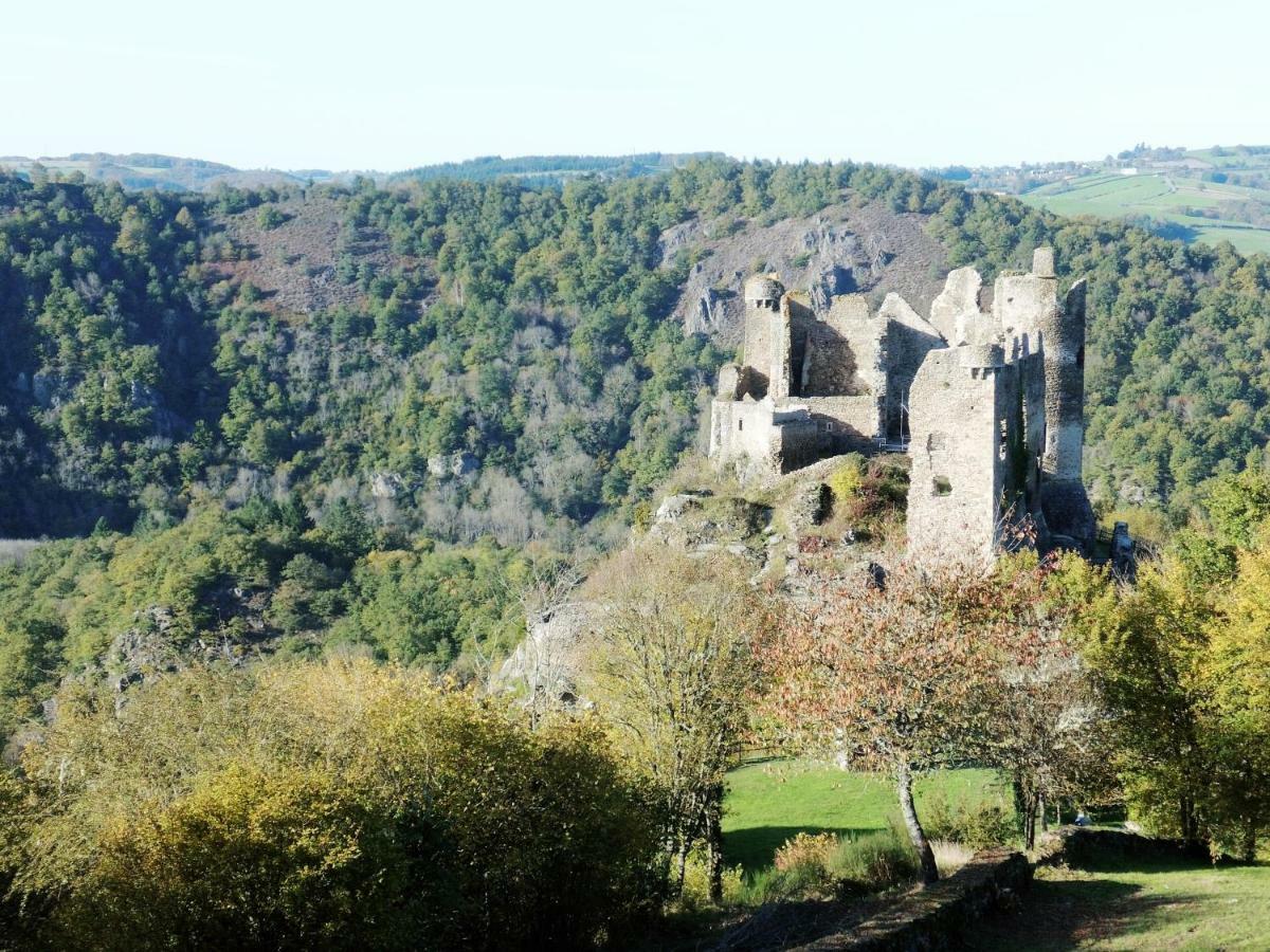 Blot-l'Église Moulin De La Fayolle Bed & Breakfast エクステリア 写真